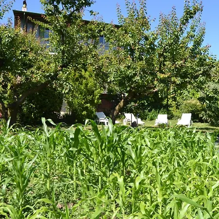 Appartamento Casa Basilio